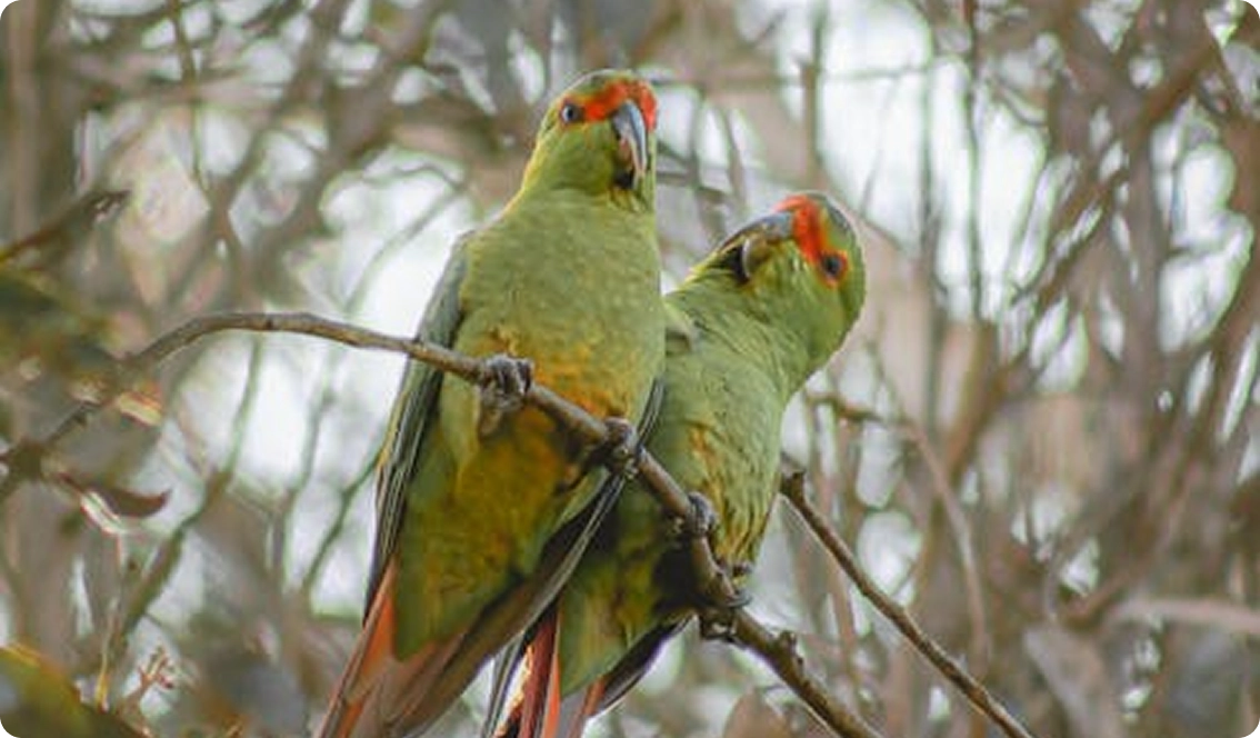 The standard Lorem Ipsum passage, used since the 1500s (I)