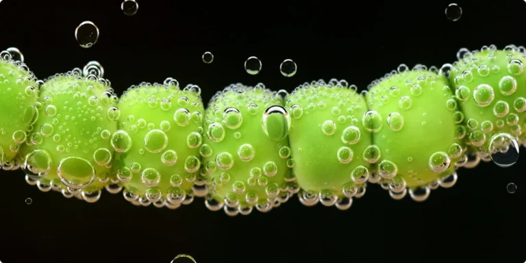 El mejor laboratorio de I+D del mundo lleva 3.800 millones de años abierto