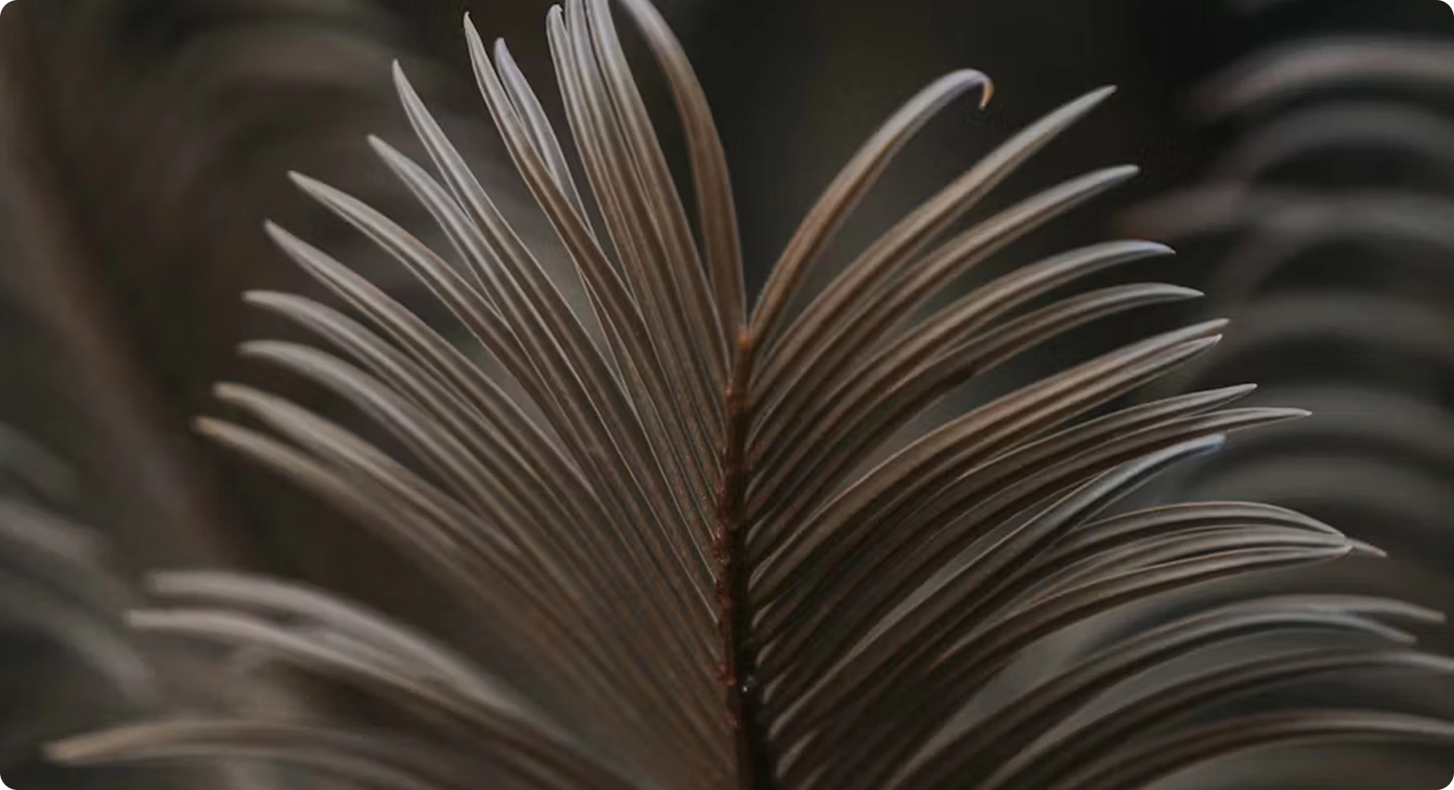 Más allá de 360º: crear el futuro que el planeta necesita II (ES)